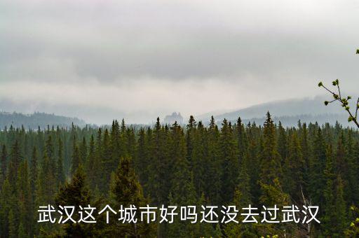 沒去過武漢怎么生活,還沒去過武漢