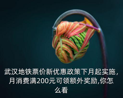 武漢地鐵票價新優惠政策下月起實施，月消費滿200元可領額外獎勵,你怎么看