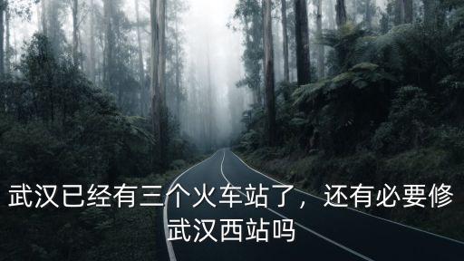 武漢已經有三個火車站了，還有必要修武漢西站嗎
