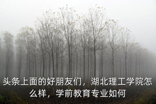 頭條上面的好朋友們，湖北理工學(xué)院怎么樣，學(xué)前教育專業(yè)如何