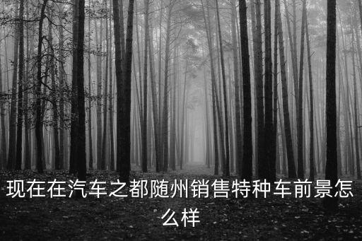 現(xiàn)在在汽車之都隨州銷售特種車前景怎么樣