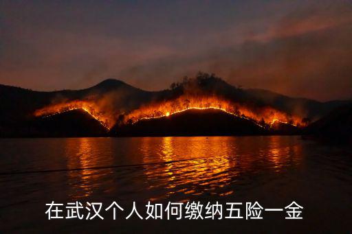 在武漢個(gè)人如何繳納五險(xiǎn)一金