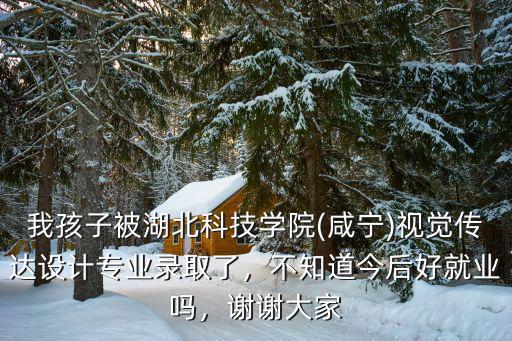 我孩子被湖北科技學(xué)院(咸寧)視覺傳達(dá)設(shè)計(jì)專業(yè)錄取了，不知道今后好就業(yè)嗎，謝謝大家