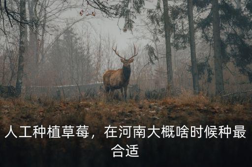 荊州適合種植草莓嗎怎么種,湖北荊州適合種巨豐葡萄苗嗎