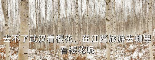 怎么網上看武漢櫻花,去不了武漢看櫻花