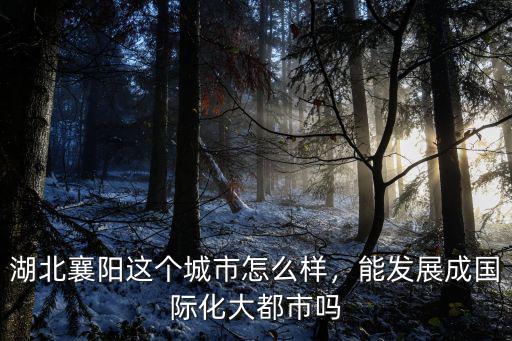 湖北襄陽牛首發展怎么樣,湖北襄陽的發展怎么樣