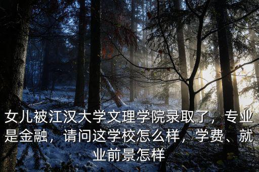 女兒被江漢大學文理學院錄取了，專業是金融，請問這學校怎么樣，學費、就業前景怎樣