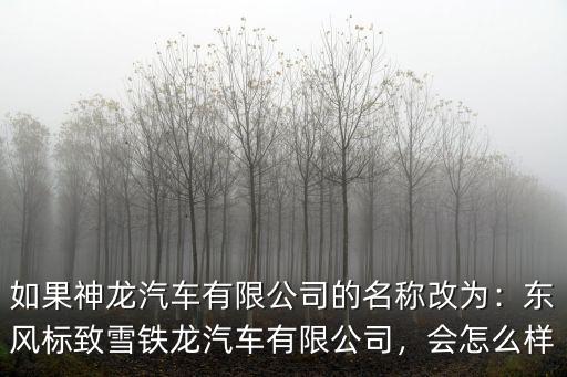 武漢神龍汽車有限公司待遇怎么樣,東風(fēng)標(biāo)致雪鐵龍汽車有限公司