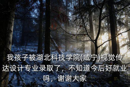我孩子被湖北科技學(xué)院(咸寧)視覺傳達(dá)設(shè)計(jì)專業(yè)錄取了，不知道今后好就業(yè)嗎，謝謝大家
