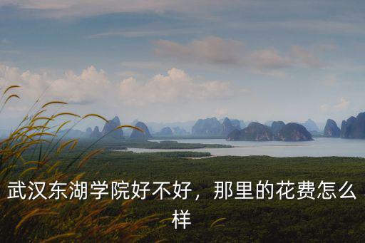武漢東湖學院好不好，那里的花費怎么樣