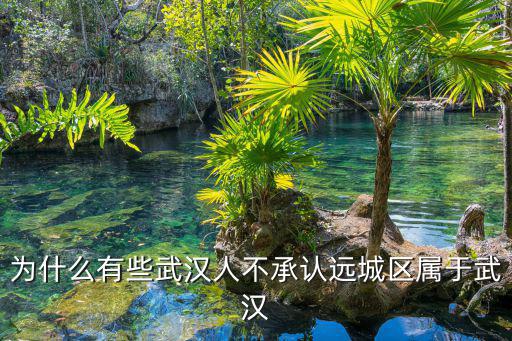 武漢主城怎么樣,武漢青山區的房子怎么樣