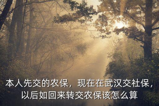 在武漢交了社保醫(yī)保怎么轉(zhuǎn)回來,現(xiàn)在在武漢交社保