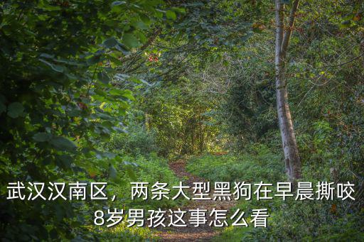 武漢養小狗怎么了,武漢怎么辦理狗證