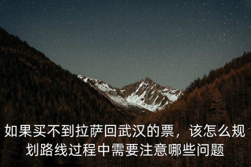 拉撒怎么回武漢,再從青海回武漢