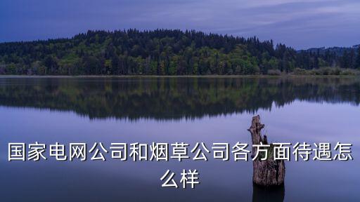 十堰煙草員工待遇怎么樣,煙草公司的合同工待遇怎么樣