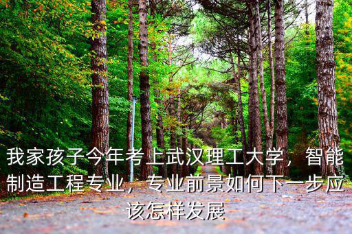 武漢理工大學智能制造工程怎么樣,智能制造工程專業