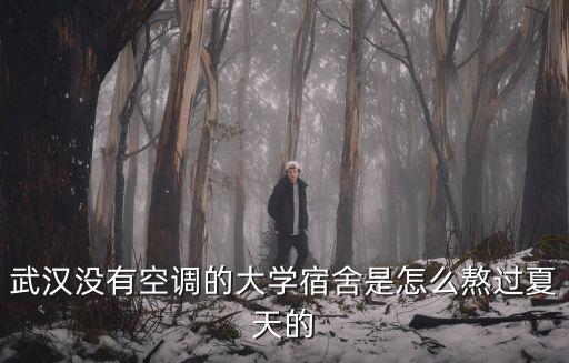 武漢沒有空調的大學宿舍是怎么熬過夏天的