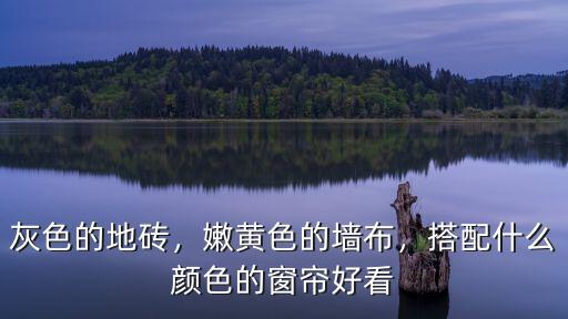 灰色的地磚，嫩黃色的墻布，搭配什么顏色的窗簾好看