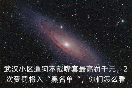 武漢小區(qū)遛狗怎么處罰,武漢遛狗不掛犬牌