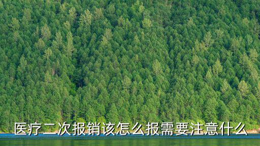 黃石醫保二次報銷怎么報,醫療二次報銷該怎么報