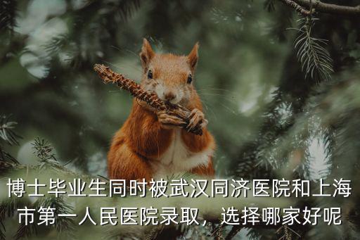 武漢同濟怎么好,同濟和武漢大學該怎么選
