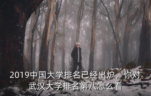 2019中國大學排名已經出爐，你對武漢大學排名第八怎么看