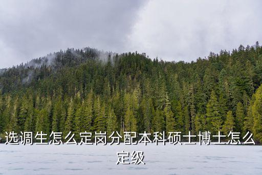 選調(diào)生怎么定崗分配本科碩士博士怎么定級(jí)