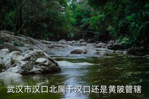 武漢怎么不見漢口區,武漢三鎮為什么沒有漢口區