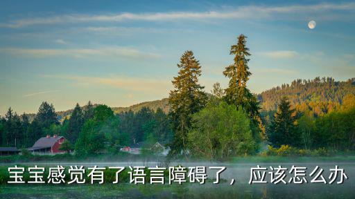寶寶感覺有了語言障礙了，應該怎么辦