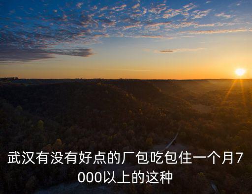 武漢有沒有好點的廠包吃包住一個月7000以上的這種
