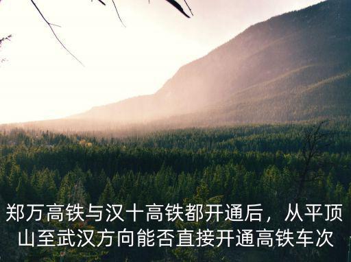 鄭萬高鐵與漢十高鐵都開通后，從平頂山至武漢方向能否直接開通高鐵車次