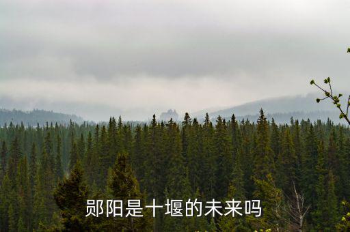 鄖陽是十堰的未來嗎