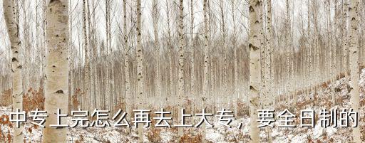 中專上完怎么再去上大專，要全日制的