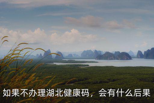 如果不辦理湖北健康碼，會有什么后果