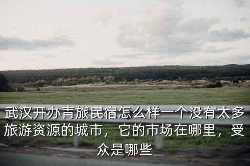 武漢開辦青旅民宿怎么樣一個沒有太多旅游資源的城市，它的市場在哪里，受眾是哪些