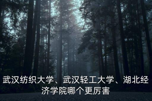 武漢紡織大學、武漢輕工大學、湖北經濟學院哪個更厲害