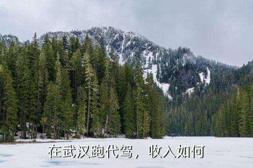 在武漢跑代駕，收入如何