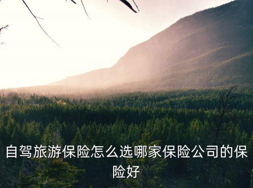 武漢陽朔自駕出游怎么買保險,自駕旅游的話怎么買