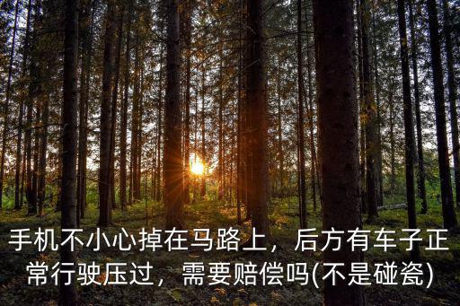 湖北機動車不小心掉了怎么辦,咸陽機動車本丟了怎么辦