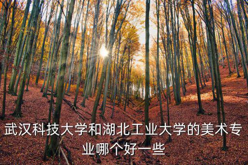 武漢科技大學和湖北工業大學的美術專業哪個好一些