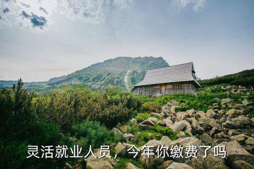 武漢靈活就業人員怎么繳費劃算,靈活就業人員