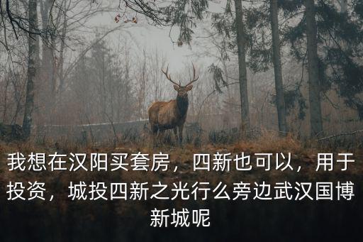 武漢漢陽國博新城怎么樣,旁邊武漢國博新城呢