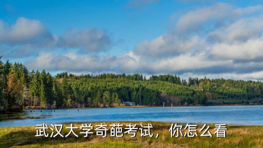 武漢大學奇葩考試，你怎么看