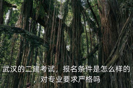 武漢二建怎么報考,武漢的二建考試
