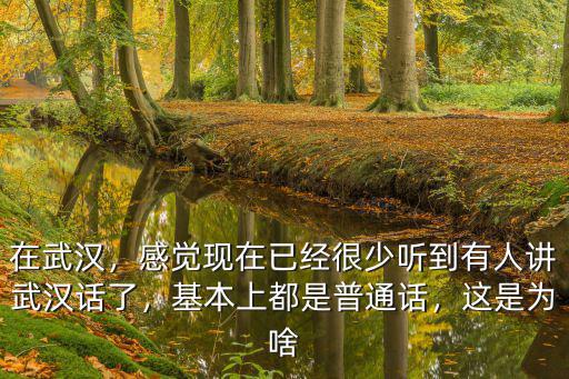 在武漢，感覺現(xiàn)在已經(jīng)很少聽到有人講武漢話了，基本上都是普通話，這是為啥