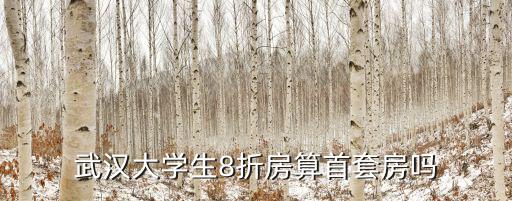 武漢大學生8折房算首套房嗎