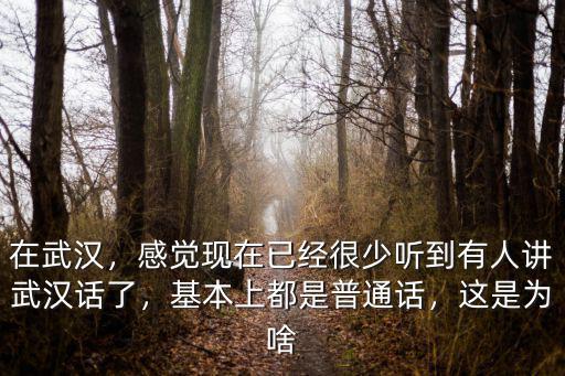 在武漢，感覺現(xiàn)在已經(jīng)很少聽到有人講武漢話了，基本上都是普通話，這是為啥