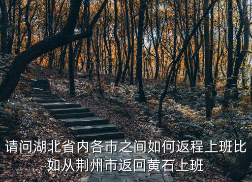 請問湖北省內各市之間如何返程上班比如從荊州市返回黃石上班