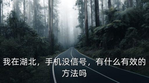我在湖北，手機沒信號，有什么有效的方法嗎