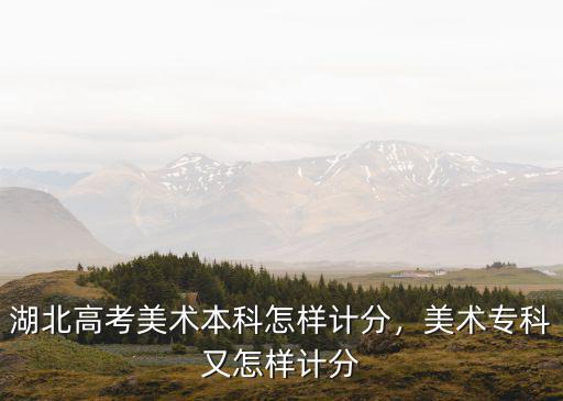 湖北藝考美術怎么加分,湖北高考美術本科怎樣計分